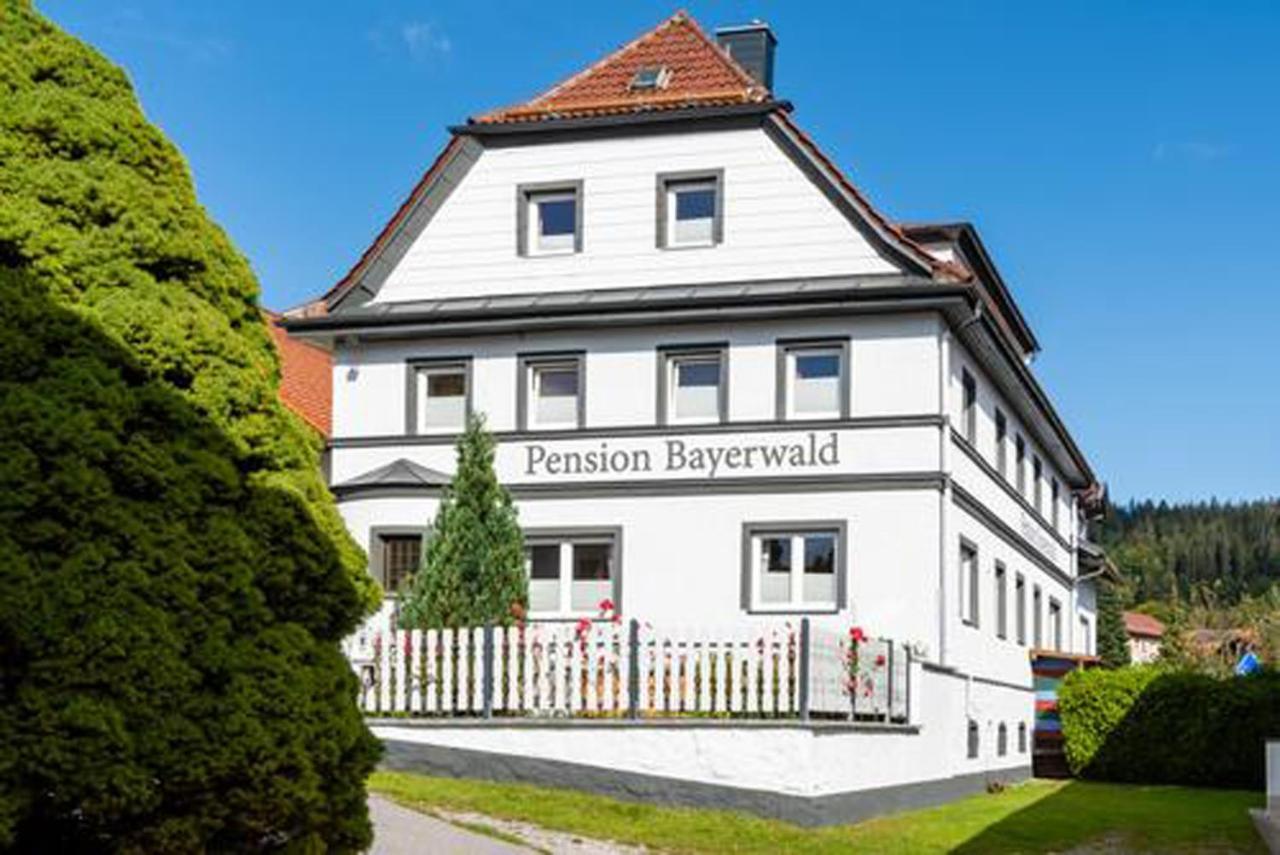 Pension Bayerwald Mit Ferienwohnung Bodenmais Exterior foto